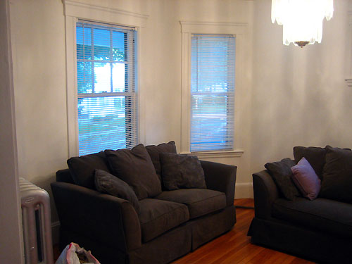 Living room and our new couches.JPG