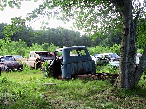 Old car graveyard.jpg