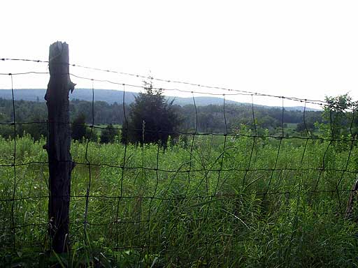 Wire fence.jpg