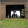 Farm tractor in barn 2.jpg