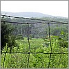 Spiders web in the fence.jpg