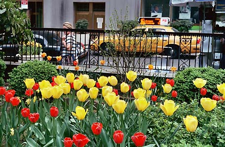NYC_May_2004-35.JPG